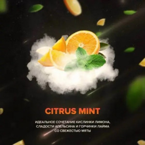 Табак 420 Citrus Mint (Цитрус Мята) 100 грамм 