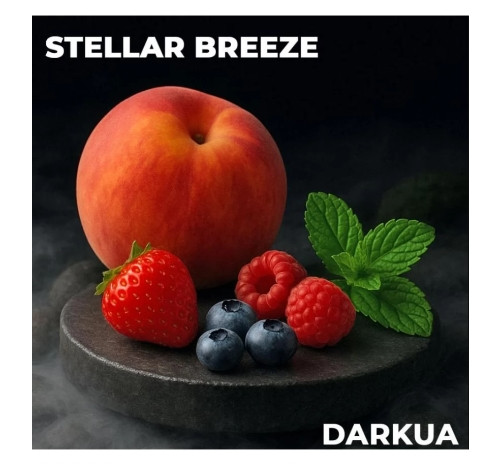 Табак DARKUA Stellar Breeze (Персик Мята Ягоды) 100 грамм  