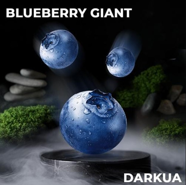 Табак DARKUA Blueberry Giant (Черника) 100 грамм в интернет магазине кальянов фото 1