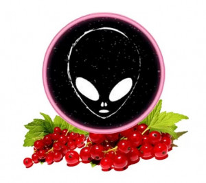 Табак Phantom Medium Red Currant (Красная Смородина) 100 грамм    