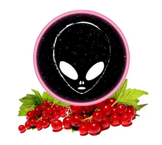 Табак Phantom Medium Red Currant (Красная Смородина) 100 грамм     в интернет магазине кальянов фото 1