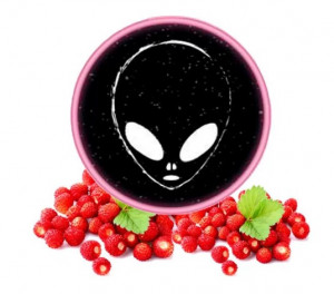 Табак Phantom Medium Wild Strawberry (Земляника) 100 грамм    