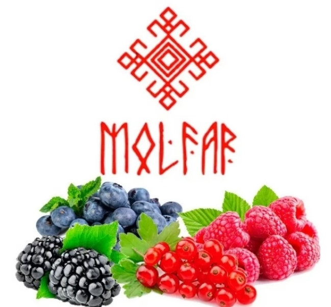 Табак Molfar Virginia Дикие Ягоды 40 грамм   
