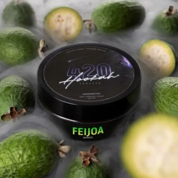 Табак 420 Feijoa (Фейхоа) 25 грамм в интернет магазине кальянов фото 1