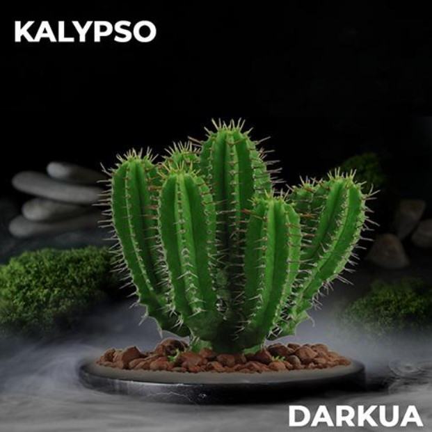 Табак DARKUA Kalypso (Кактус) 100 грамм 