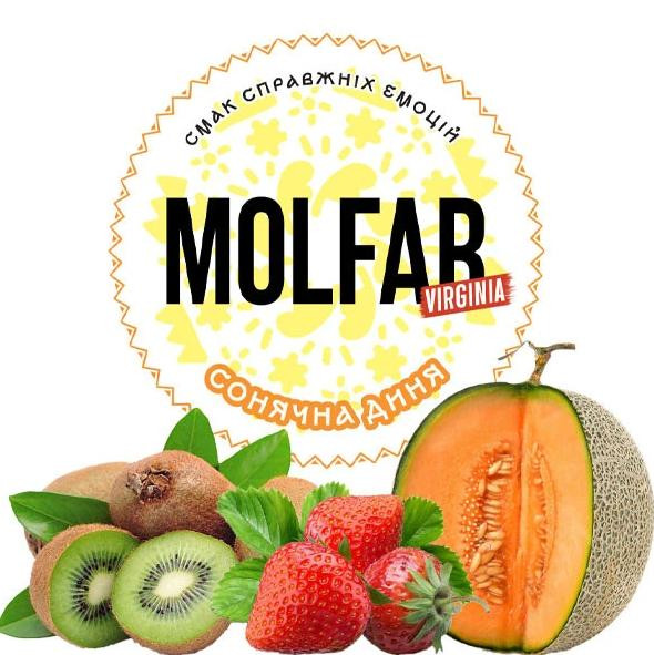 Табак Molfar Virginia Солнечная Дыня 40 грамм в интернет магазине кальянов фото 1