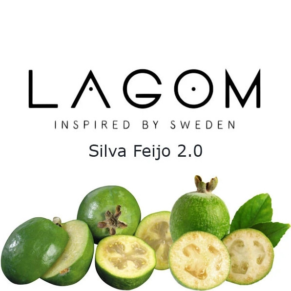 Табак Lagom Navy Line Silva Feijo 2.0 (Сильва Фейхо) 40 гр  