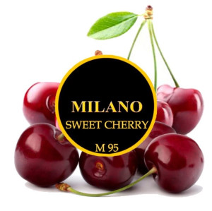 Табак Milano Sweet Cherry M95 (Сладкая Вишня) 100 грамм  