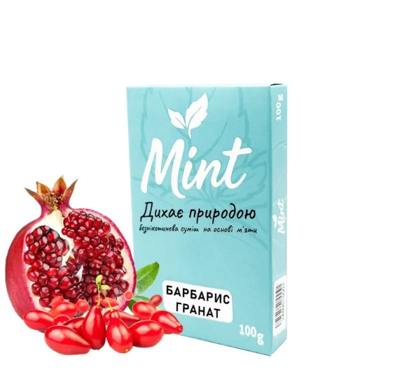 Кальянная смесь Mint Барбарис Гранат 100 грамм в интернет магазине кальянов фото 1