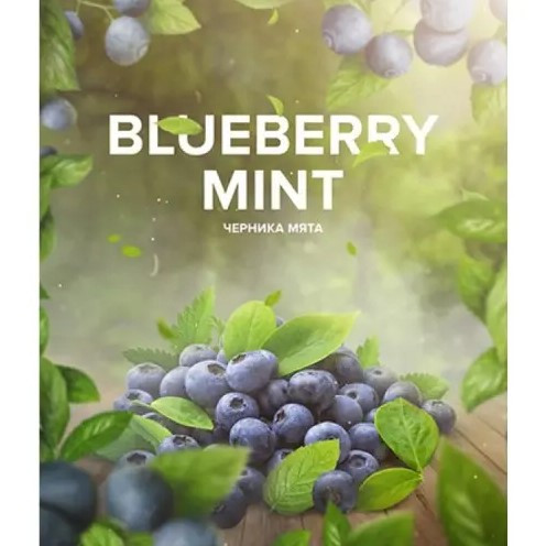Табак 420 Tea Line Blueberry Mint (Черника Мята) 125 грамм  в интернет магазине кальянов фото 1