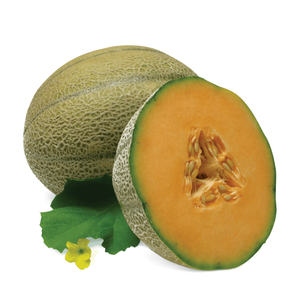ТАБАК ДЛЯ КАЛЬЯНУ FUMARI MELON / ДИНЯ 100 ГРАММ (репліка) в интернет магазине кальянов фото 2