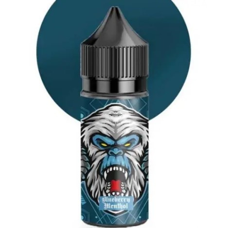 Солевая жидкость Flavorlab RF 350 Blueberry Menthol, 30 мл  