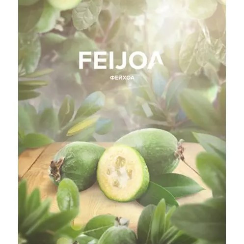 Табак 420 Tea Line Feijoa (Фейхоа) 125 грамм  в интернет магазине кальянов фото 1