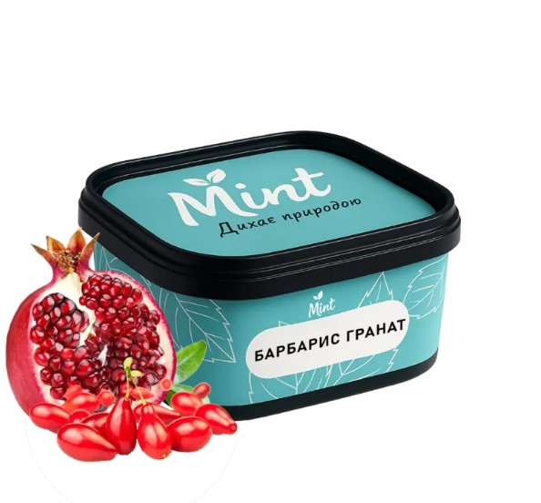 Кальянная смесь Mint Барбарис Гранат 200 грамм в интернет магазине кальянов фото 1