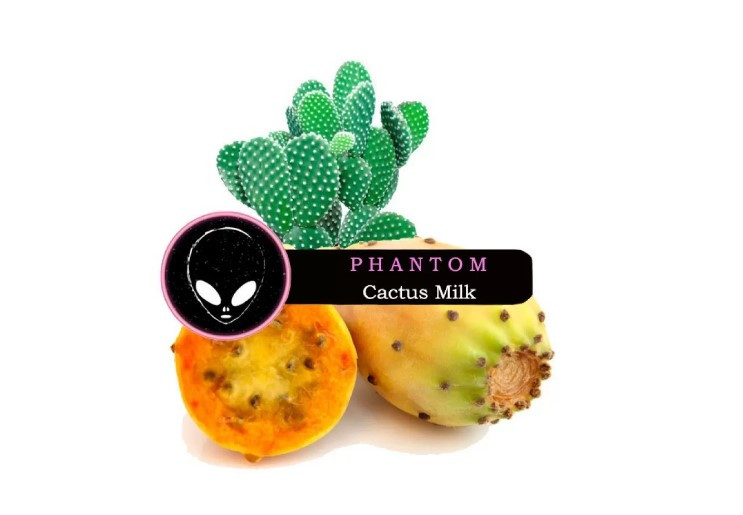 Табак Phantom Soft Cactus Milk (Кактус) 50 грамм  