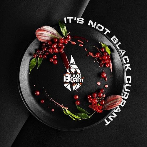 Табак Black Burn Its Not Black Currant (Красная Смородина) 100 гр 
