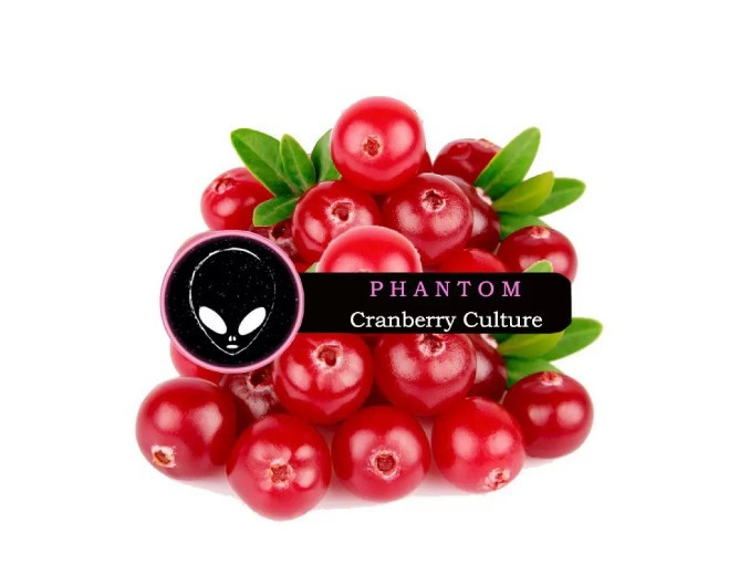 Табак Phantom Soft Cranberry Culture (Клюква) 50 грамм   в интернет магазине кальянов фото 1