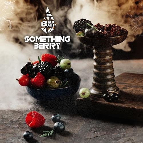 Табак Black Burn Something Berry (Ягодный Микс) 100 гр 