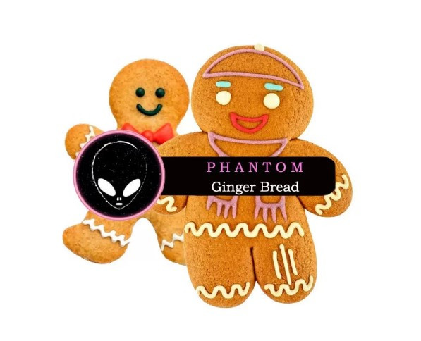 Табак Phantom Soft Ginger Bread (Имбирний Пряник) 50 грамм   в интернет магазине кальянов фото 1