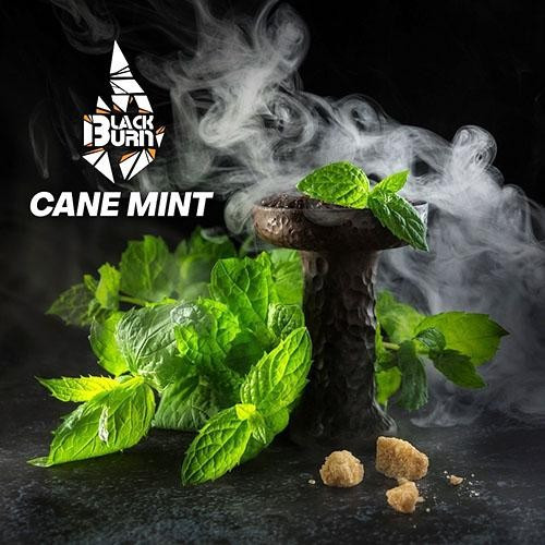Табак Black Burn Cane Mint (Тросниковая Мята) 100 гр  