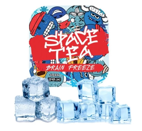 Чайная смесь Space Tea Brain Freeze (Холодок) 40 грамм  в интернет магазине кальянов фото 1