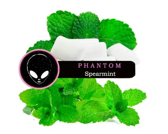 Табак Phantom Soft Spearmint (Мята Жвачка) 50 грамм  